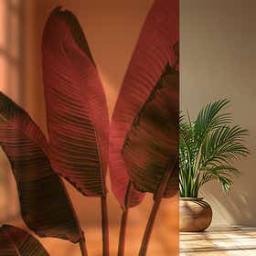 Peach Tropic Privacy Film - Frosted 3