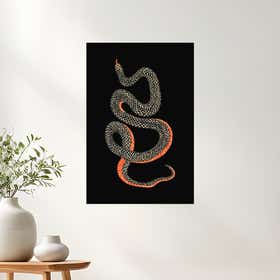 Snake Black Acrylic Print - Premium Metallic Photo Paper 2