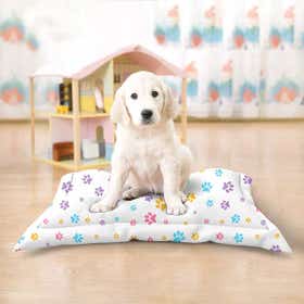 Custom Pet Mat 1
