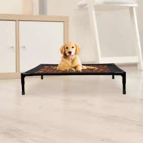 Custom Elevated Pet Bed 3