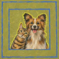 Pet Gallery