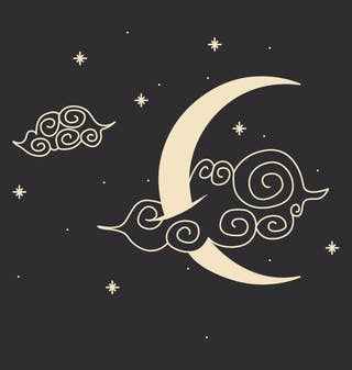 Moonlit Serenade: Celestial Whispers in the Night 25