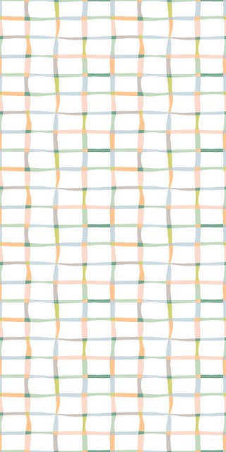 Playful multicolored checks 20