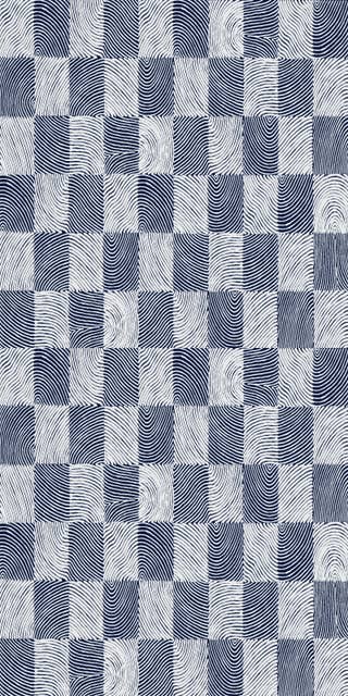 dual tone Blue Plaid 19
