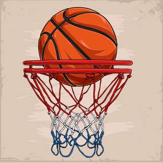 Basketball's Basket 16