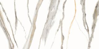Statuario Silver Veins 1