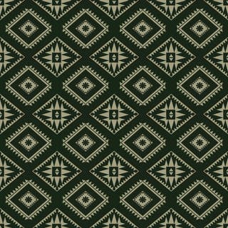 Navajo Echoes 5