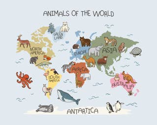 Animal Atlas 23
