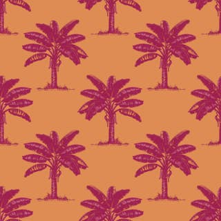 Banana Tree Terracotta 16