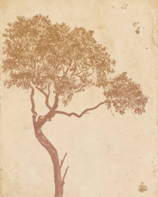 Beige Tree 7