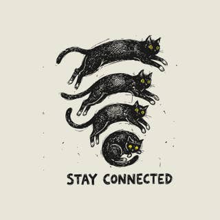 Cat Connection Black 10