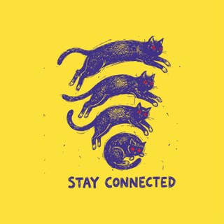 Cat Connection Yellow 9