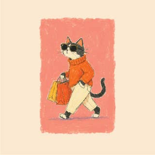 Catwalk Ready 11