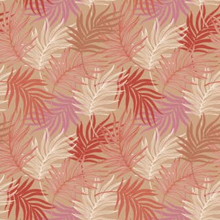 Coral Palms 24