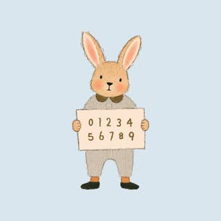 CountingBunny 9