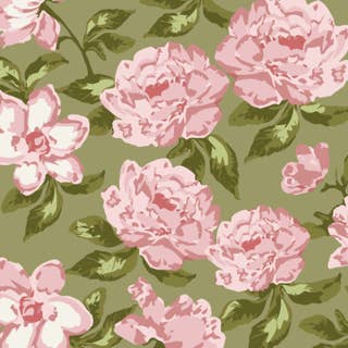 Olive Roses 3