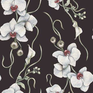 Orchids Charcoal 6