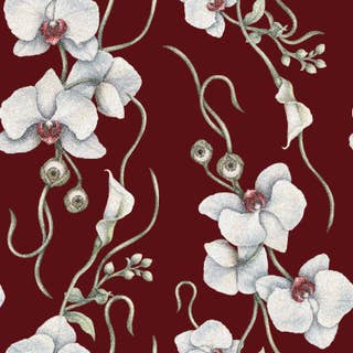 Orchids Maroon 5
