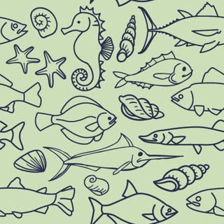 Sea Life Sage 15