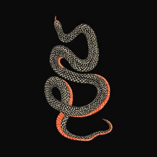 Snake Black 1