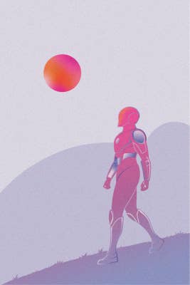 Solar Wanderer 13