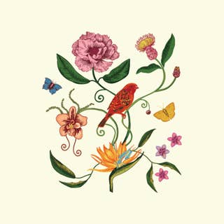 Songbird Beige 17