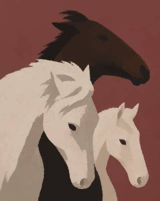 Wild Horses 4