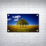 Acrylic Print - Premium Gloss Photo Paper 6