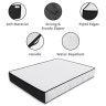 Custom Pet Bed 1
