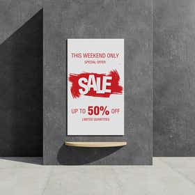 Hot Air Balloon Poster Print - Mounting 2