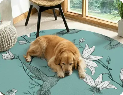 Pet-Friendly